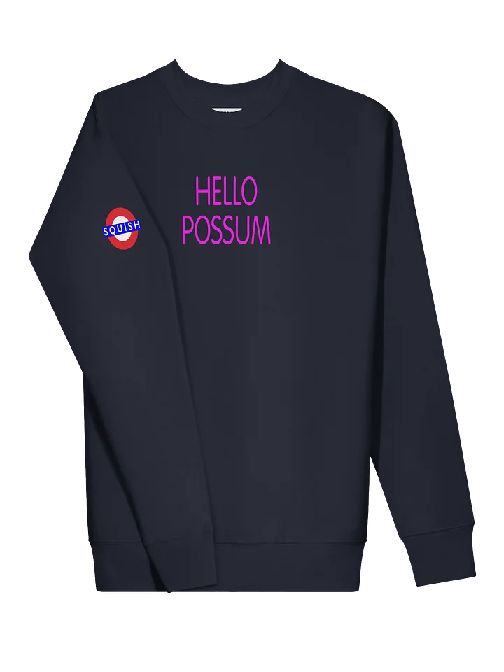 Hello Possum Graphic Crewneck - Hot Pink product image (2)