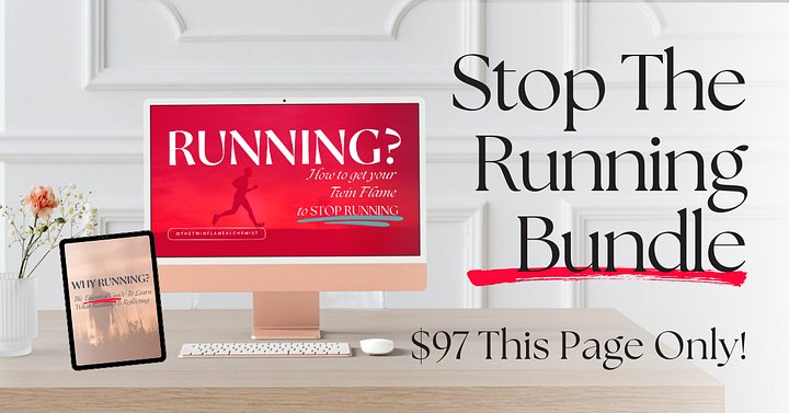 How to Get Your Twin Flame to Stop Running product image (1)
