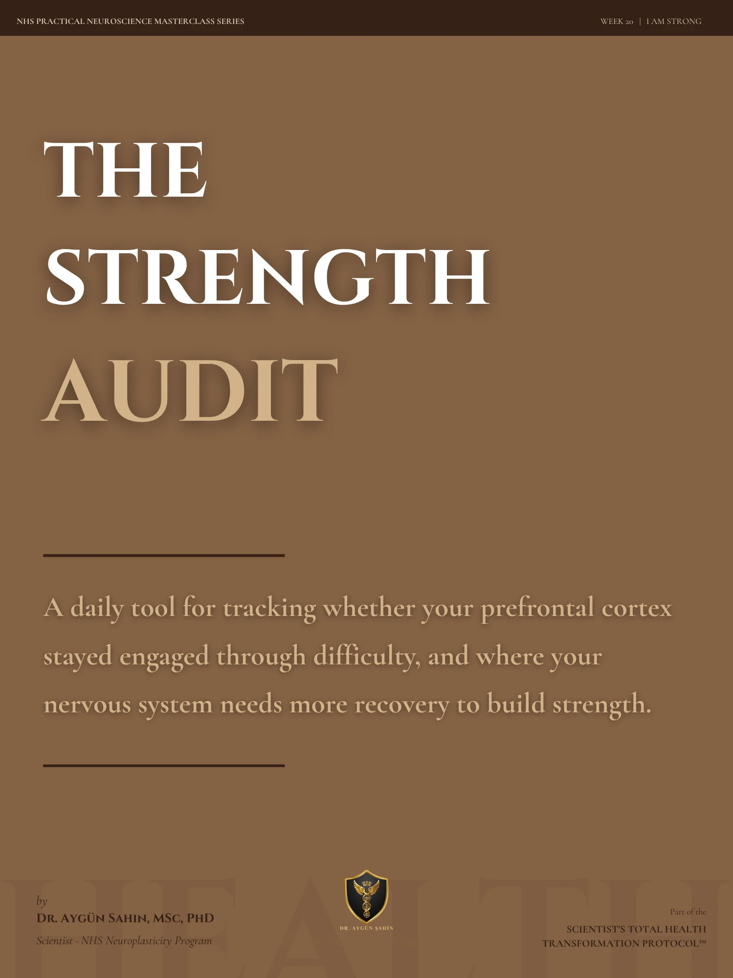 THE STRENGTH AUDIT product image (1)