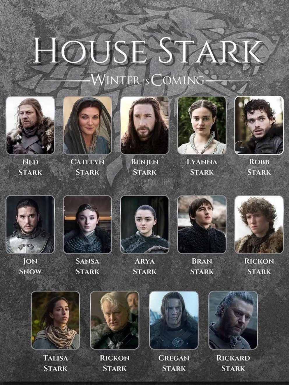 Game of Thrones Fan Collectible Chronicle product image (3)