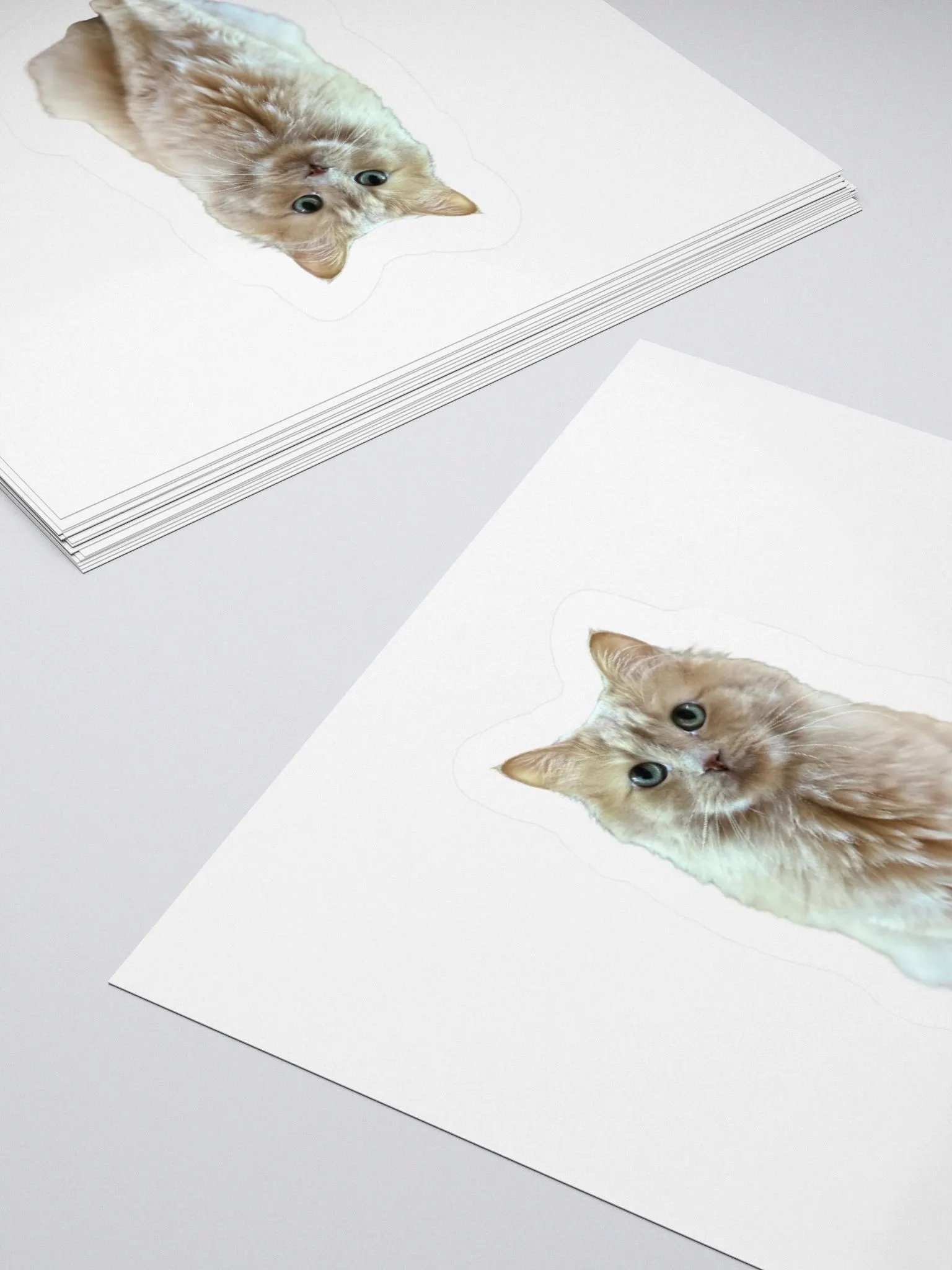 Georgie Sticker product image (4)