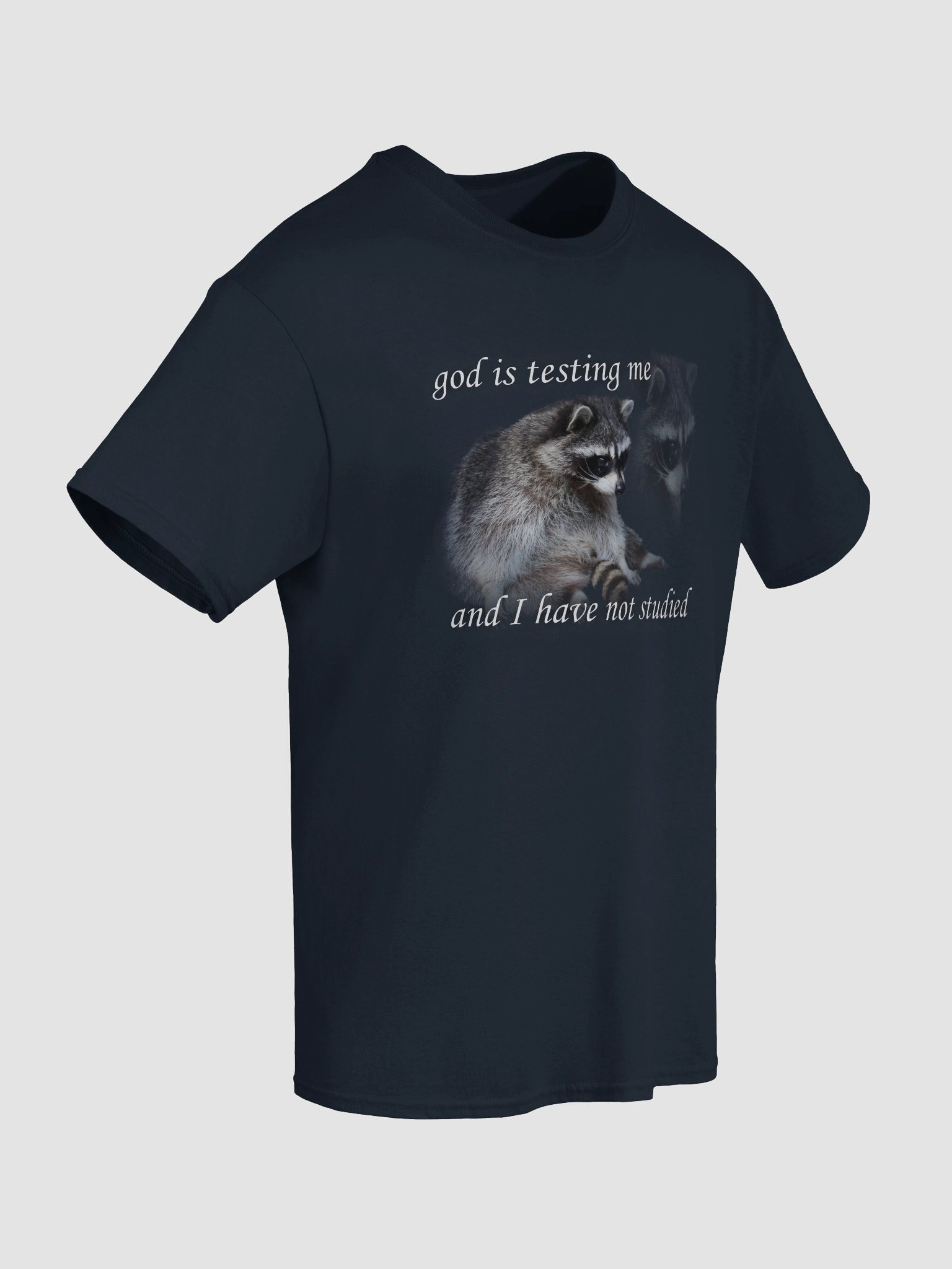 God is Testing Me Raccoon T-shirt product image (83)
