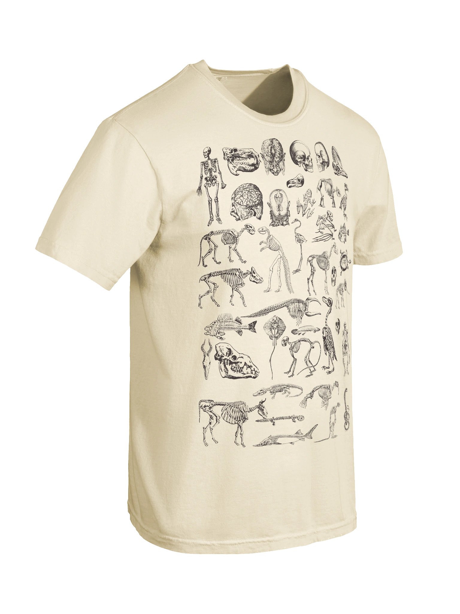 Dark Academia Skeletons Shirt – Vintage Anatomy Bones Illustration Graphic Tee product image (67)