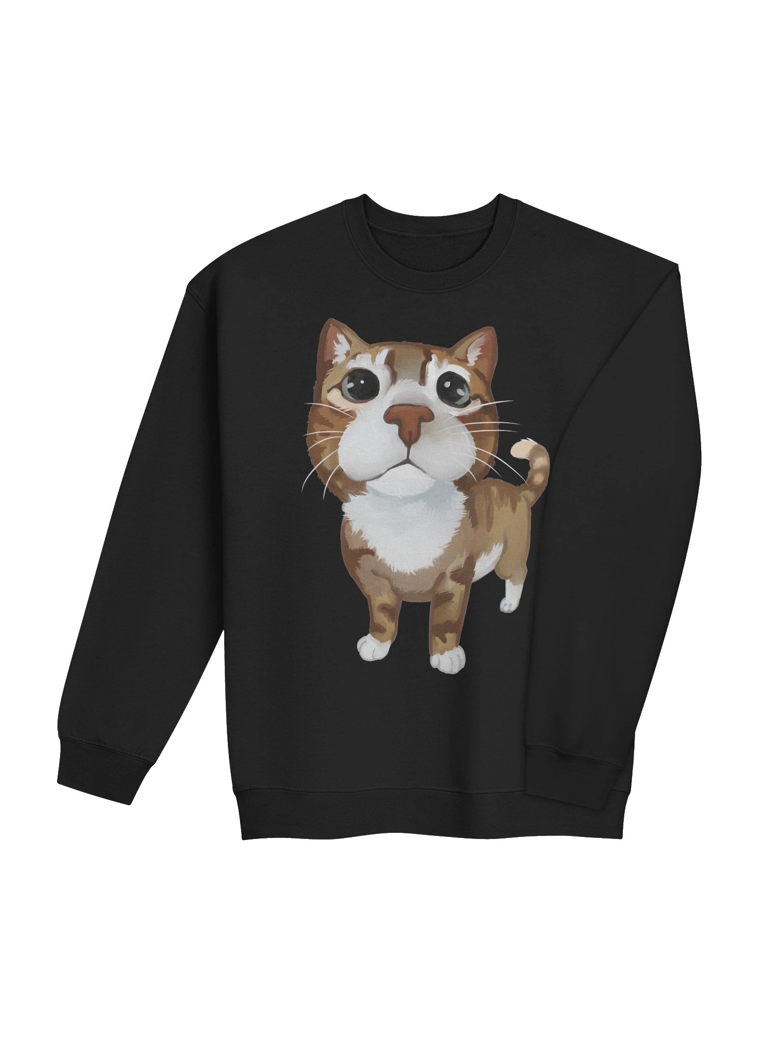 cat product image (19)