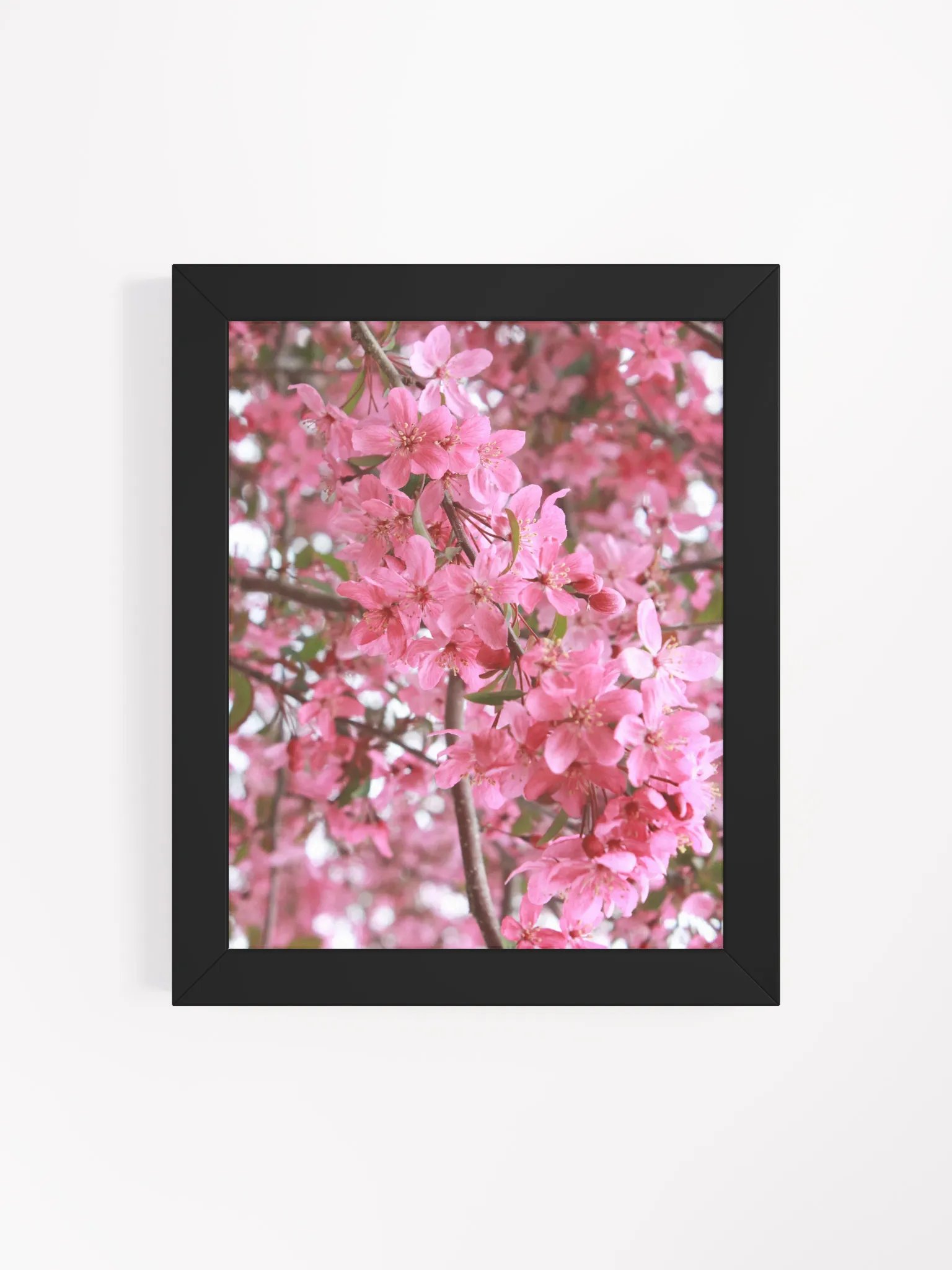 Pink Flowers product image (7)