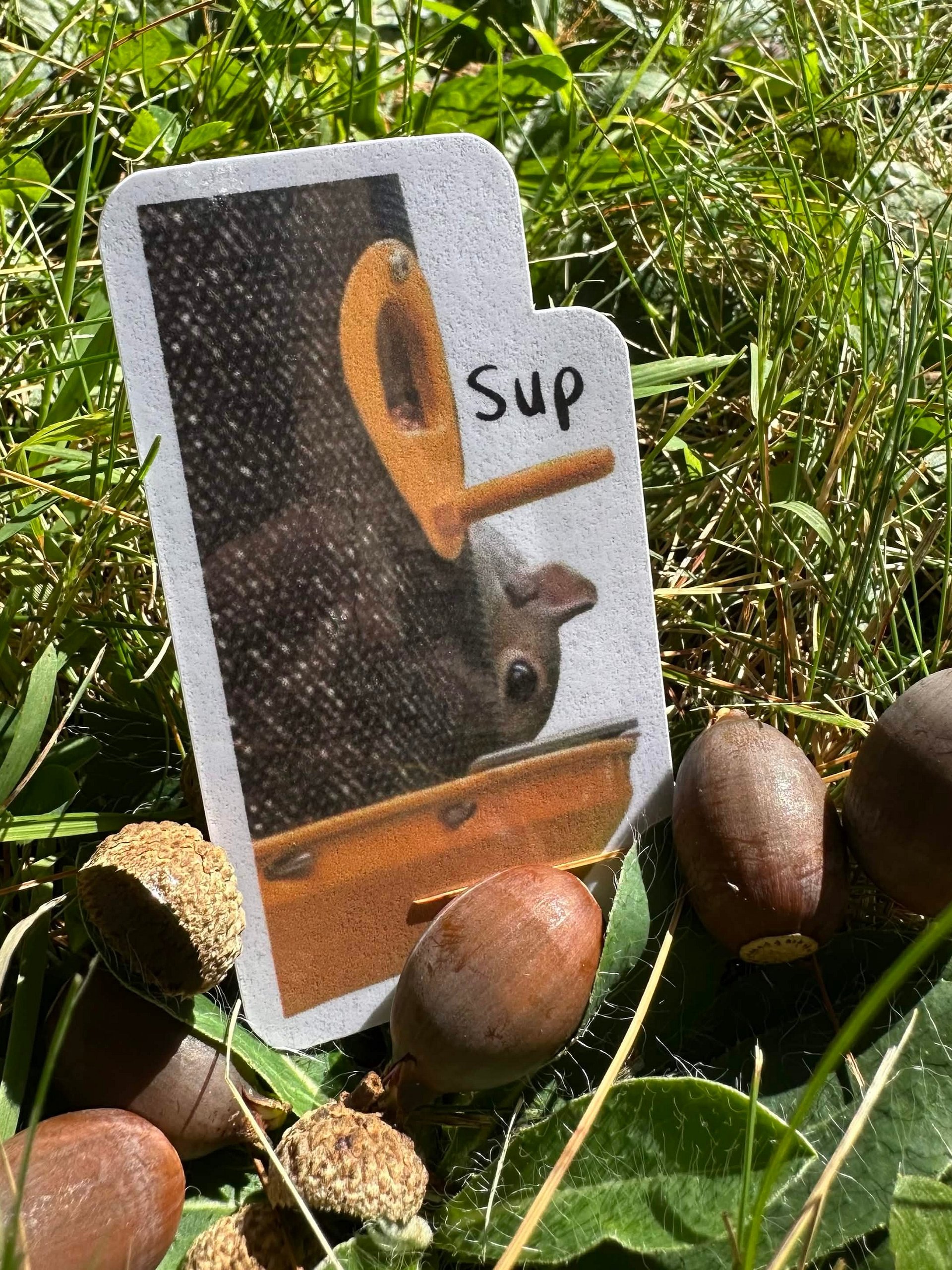 Sup Squirrel Sticker product image (1)