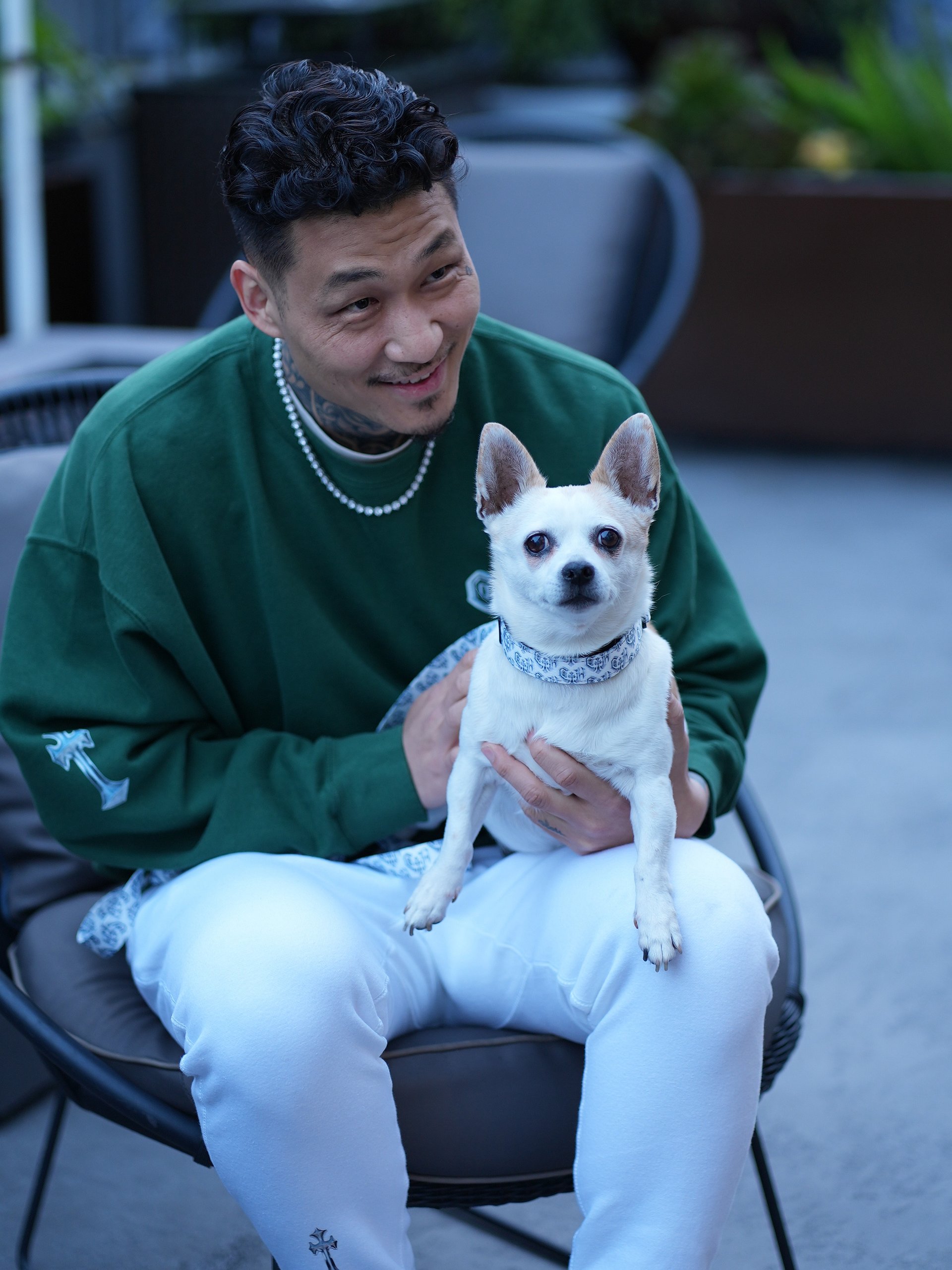 Collar product image (1)