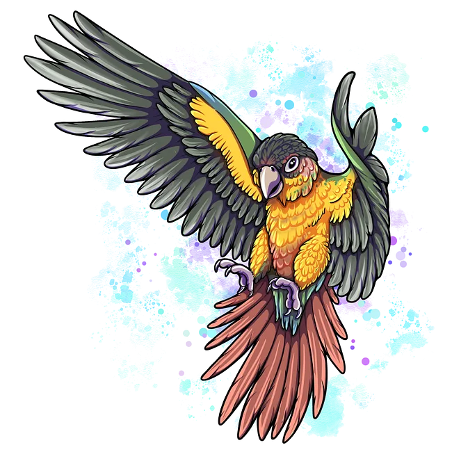 Kiri