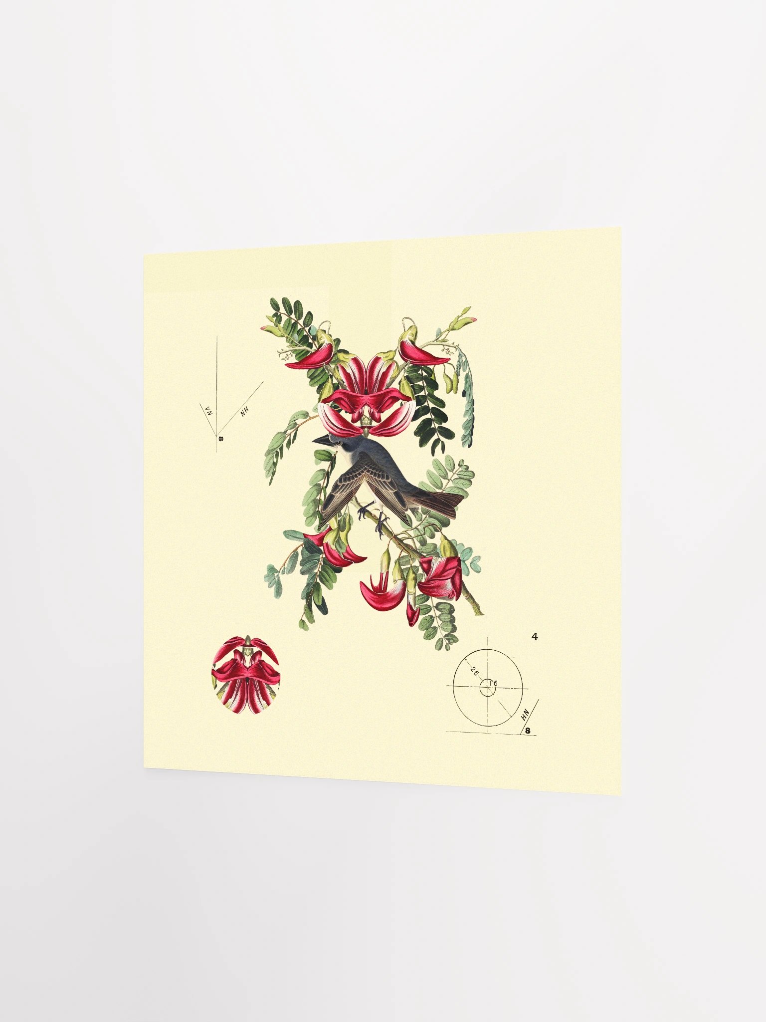 Bird Botanical Dadaism Poster product image (4)