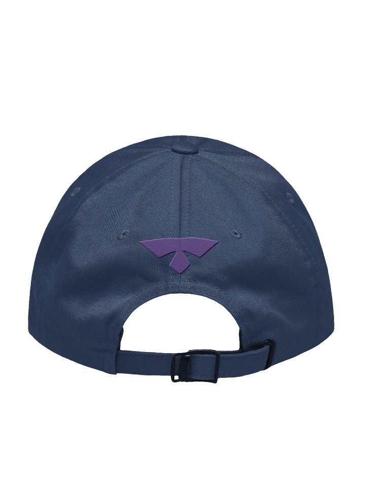 Wasp Embroidered Hat product image (13)