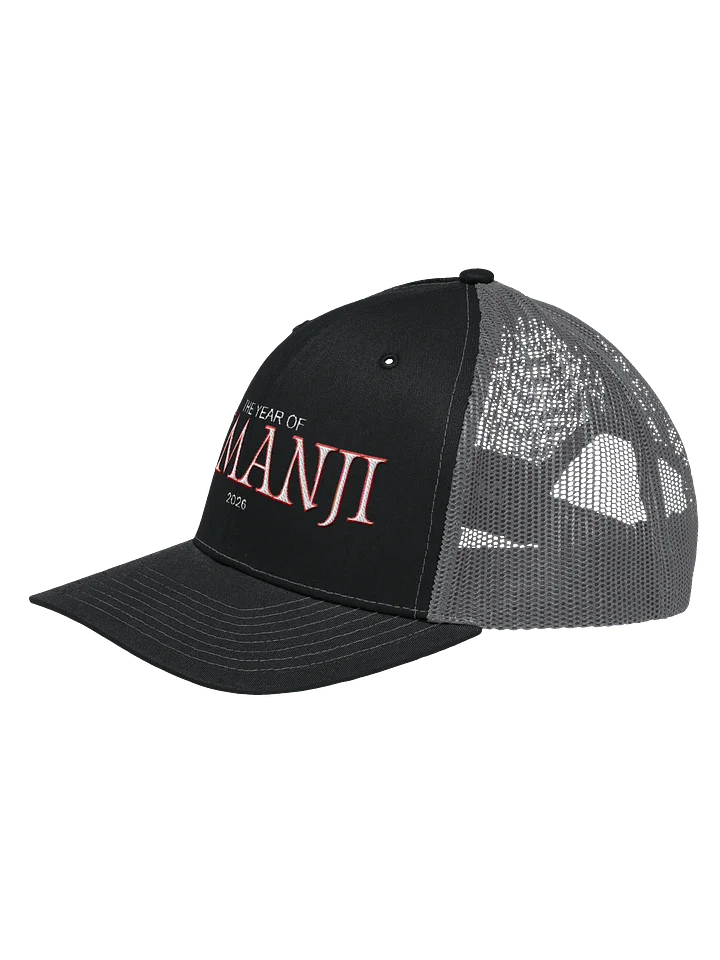 The Year of Jumanji product image (2)