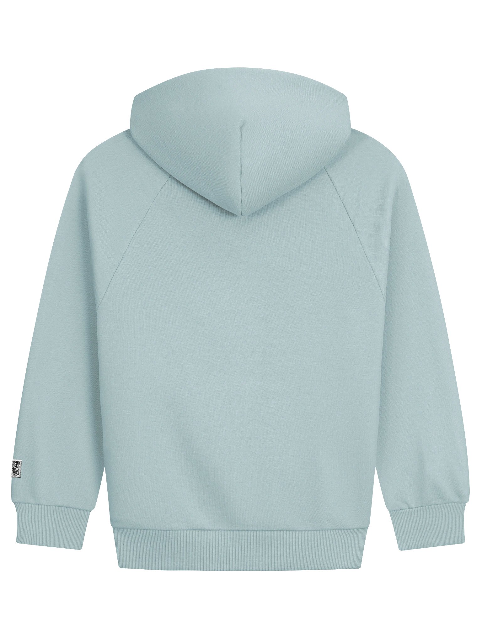 MintFi No KAPPA Pledge Hoodie product image (4)