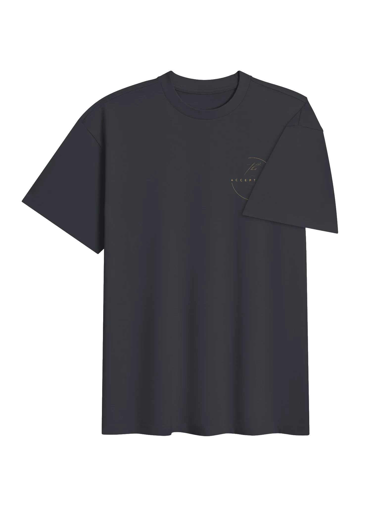The Acceptance Logo Box Tee product image (11)