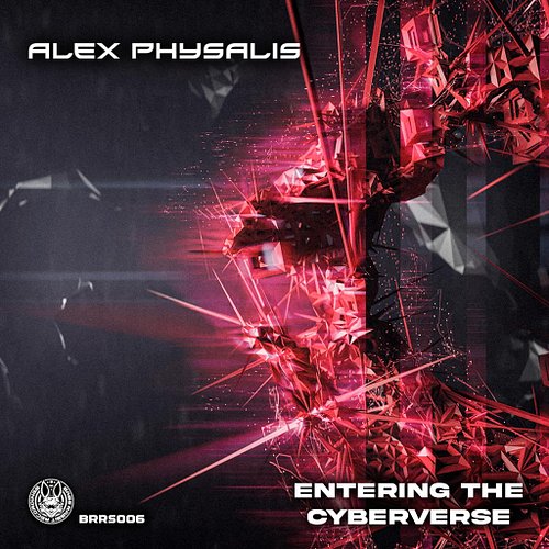 We have a new Artist on the Label. Check out Alex Physalis with his first tune „Entering The Cyberverse“ on the Label. The tu...