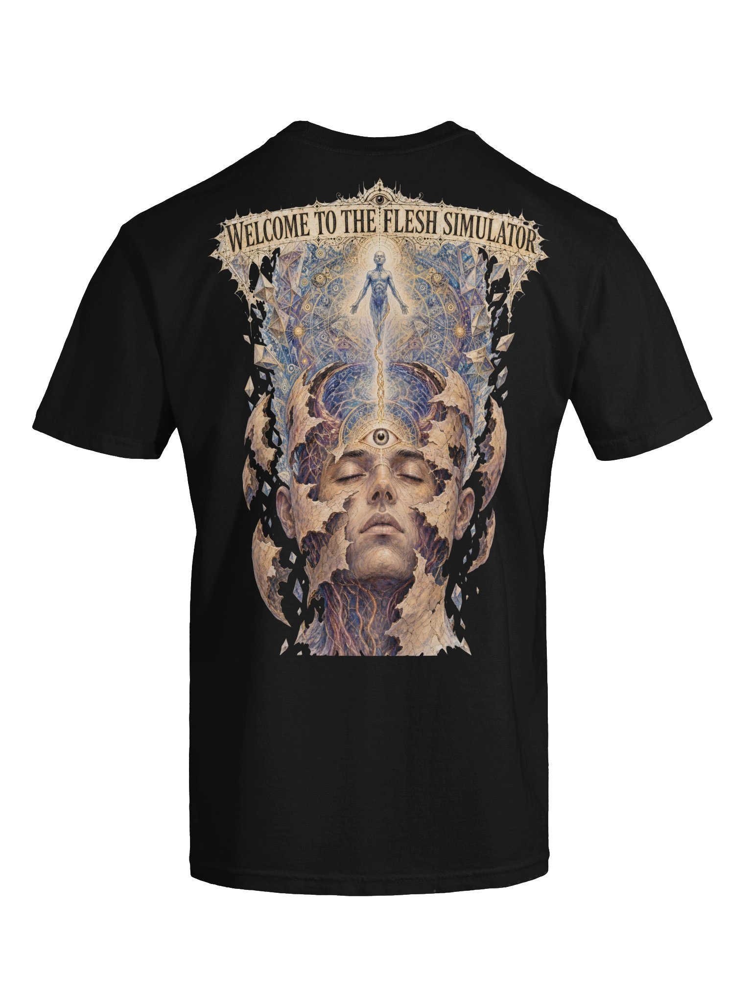 WELCOME TO THE FLESH SIMULATOR (Heavyweight) product image (7)