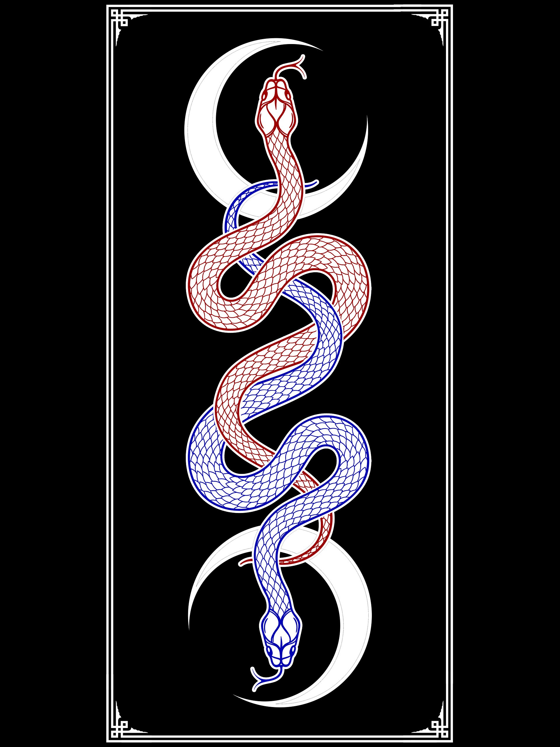 Synergy Moon [14x26] product image (2)