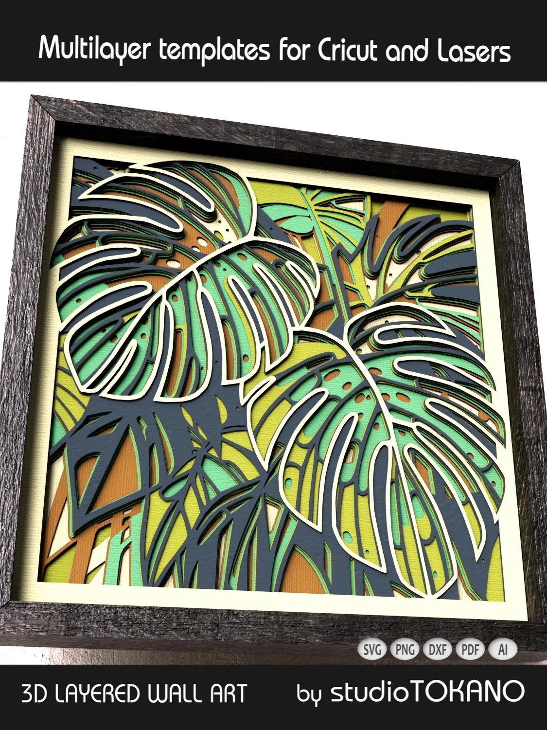 Monstera Shadow Box product image (4)