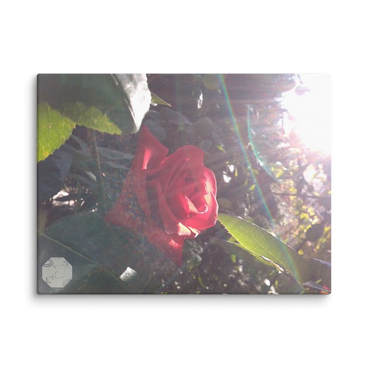INTİ product image (1)