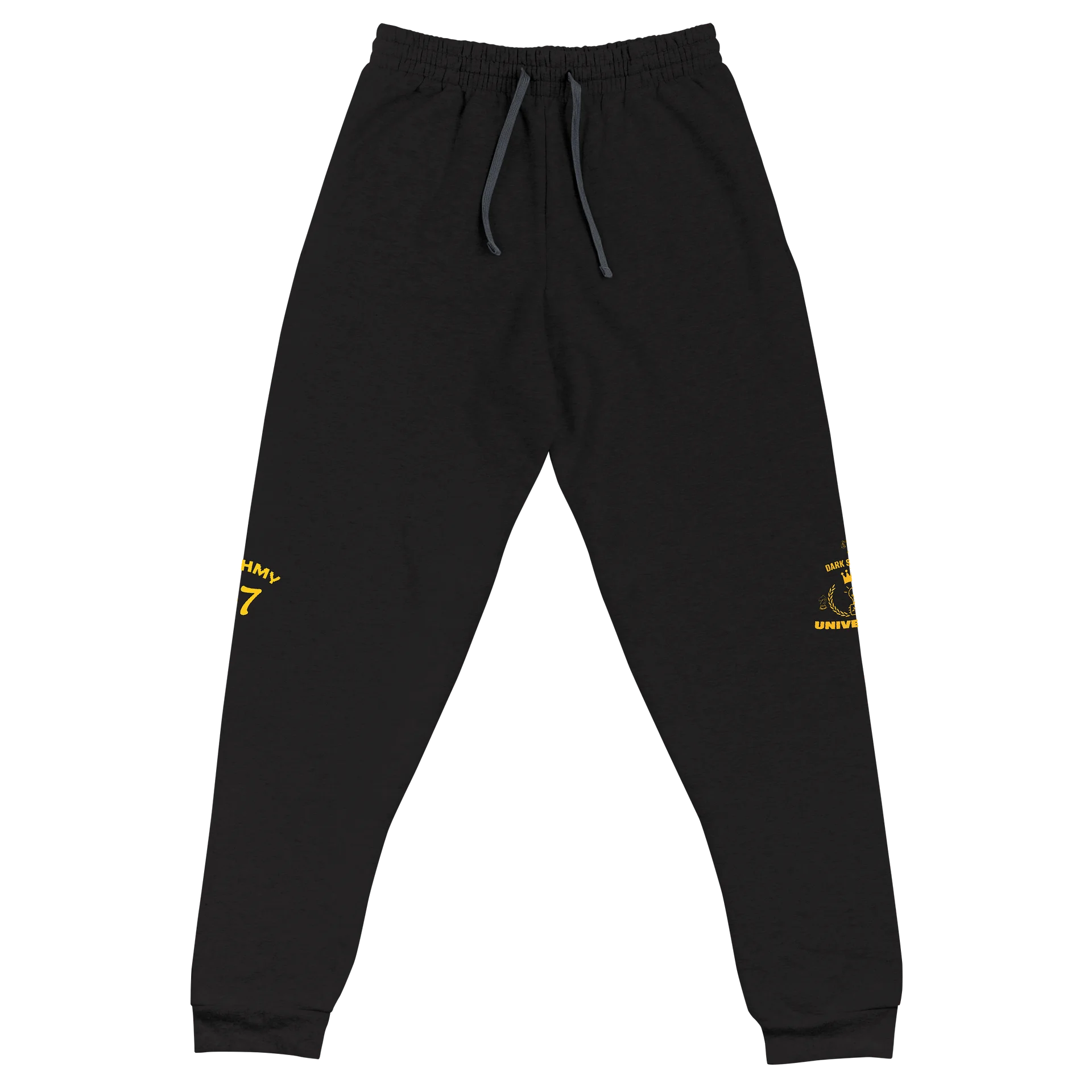 Dark Science University | DSU 87 Joggers product image (7)