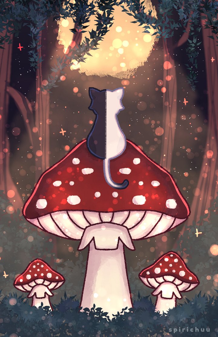 Cat On Mushroom Large Print product image (1)