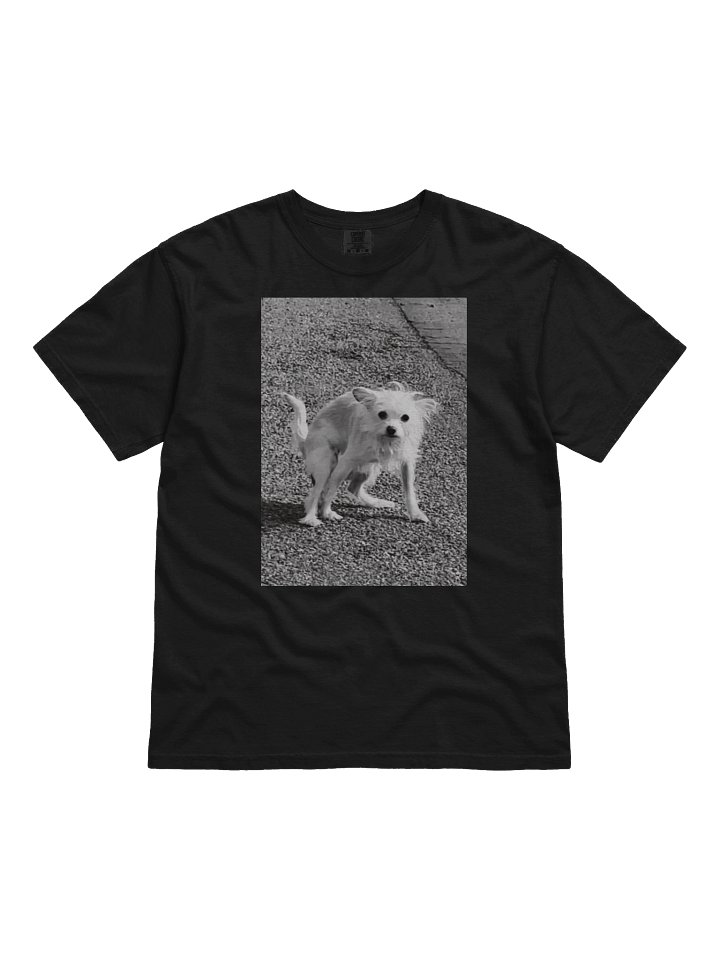 Charlie Shits product image (1)