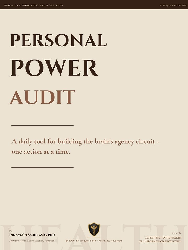 PERSONAL POWER AUDIT product image (1)