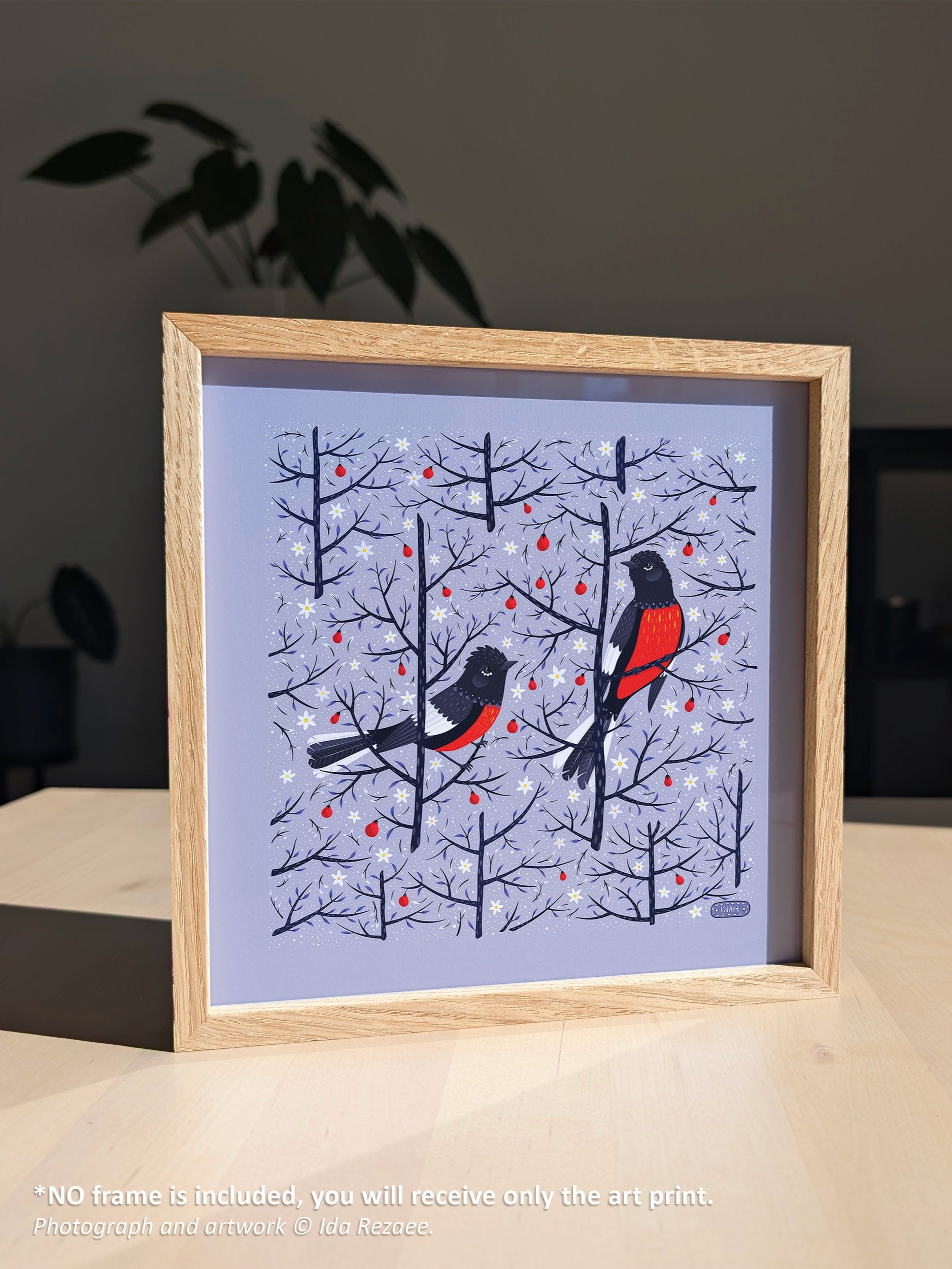 Painted Redstart - Bird Art Print product image (3)