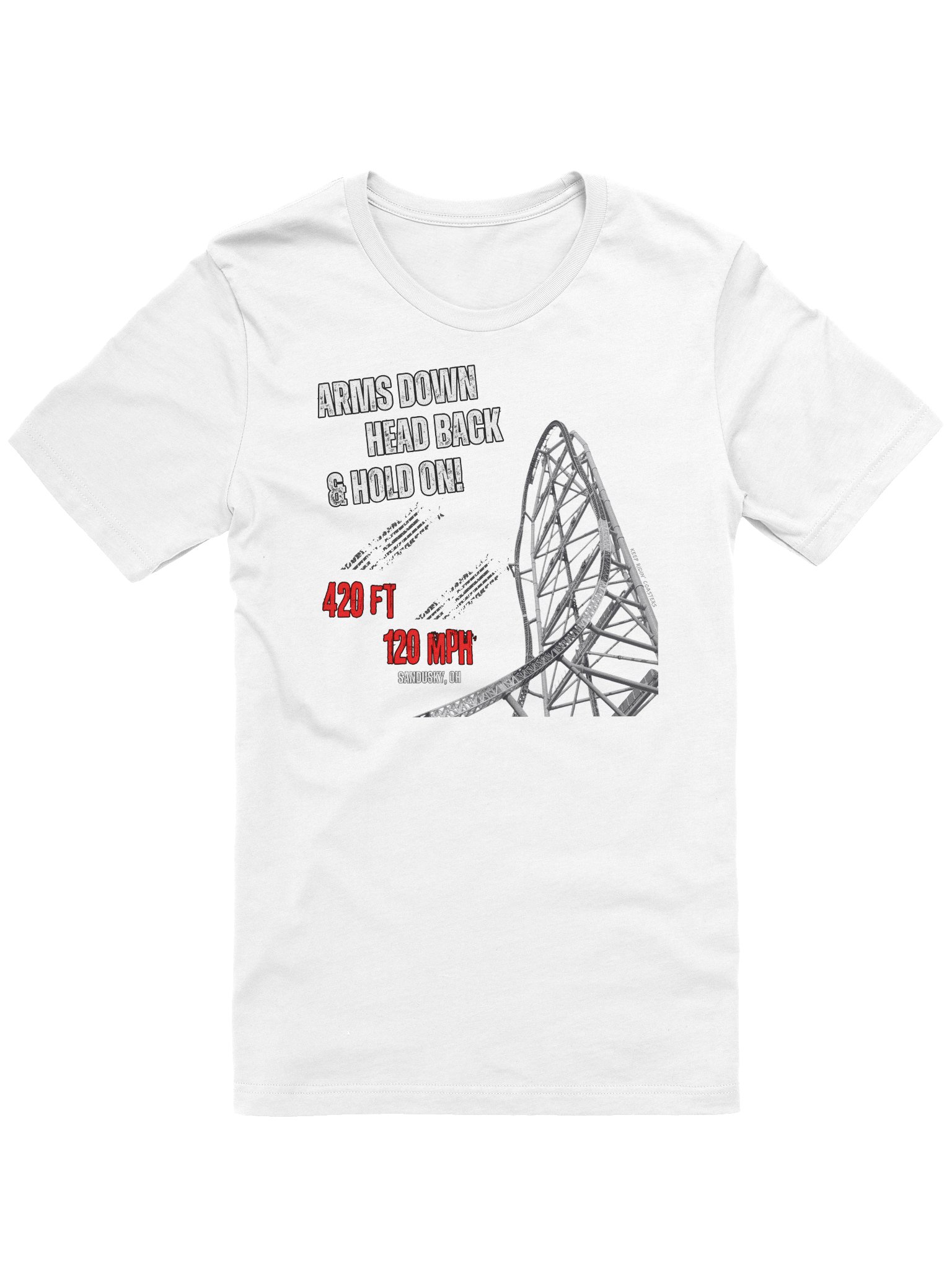 Arms Down, Head Back & Hold On - 420/120 Tee product image (3)