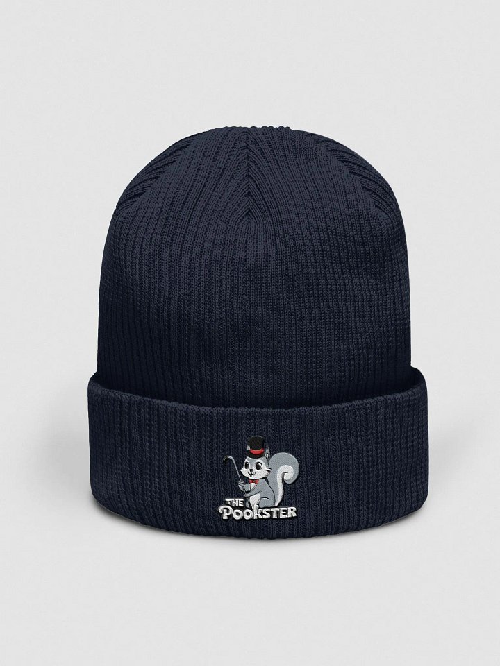 Organic Cotton Embroidered Beanie: Dapper Pookster product image (1)