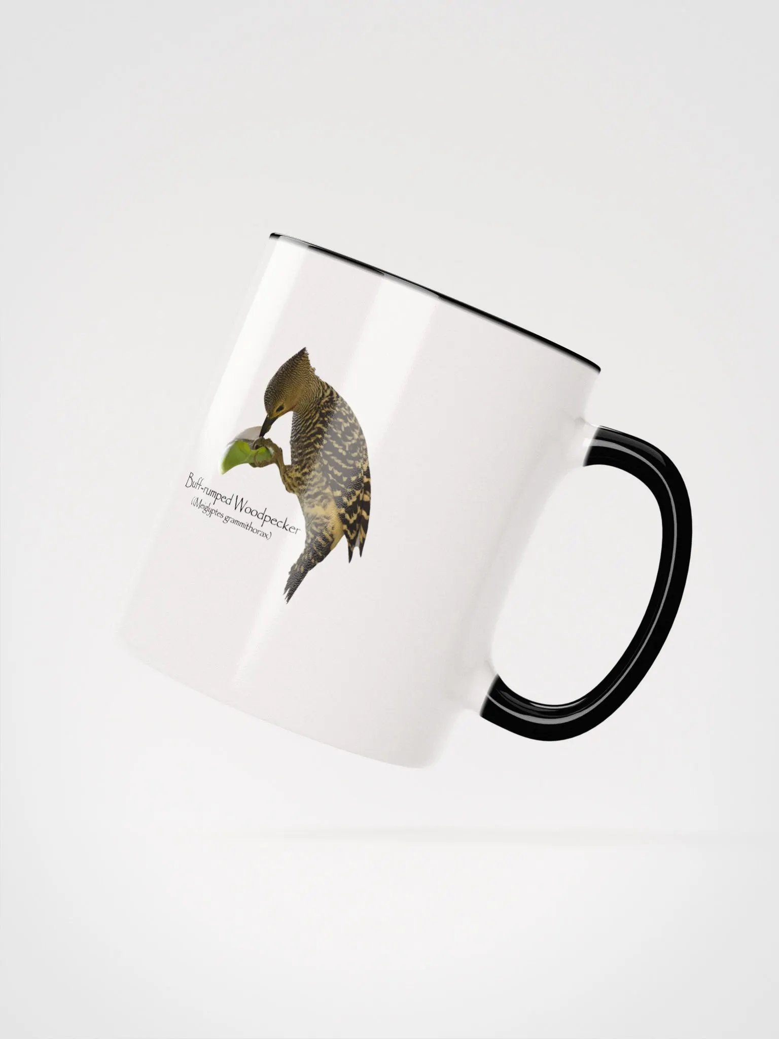 Buff-rumped Woodpecker mug product image (17)