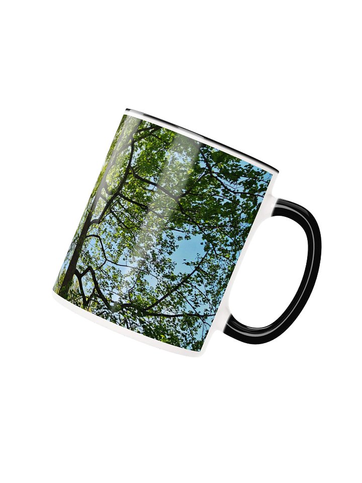 Among the Trees 2-tone Ceramic Mug product image (13)