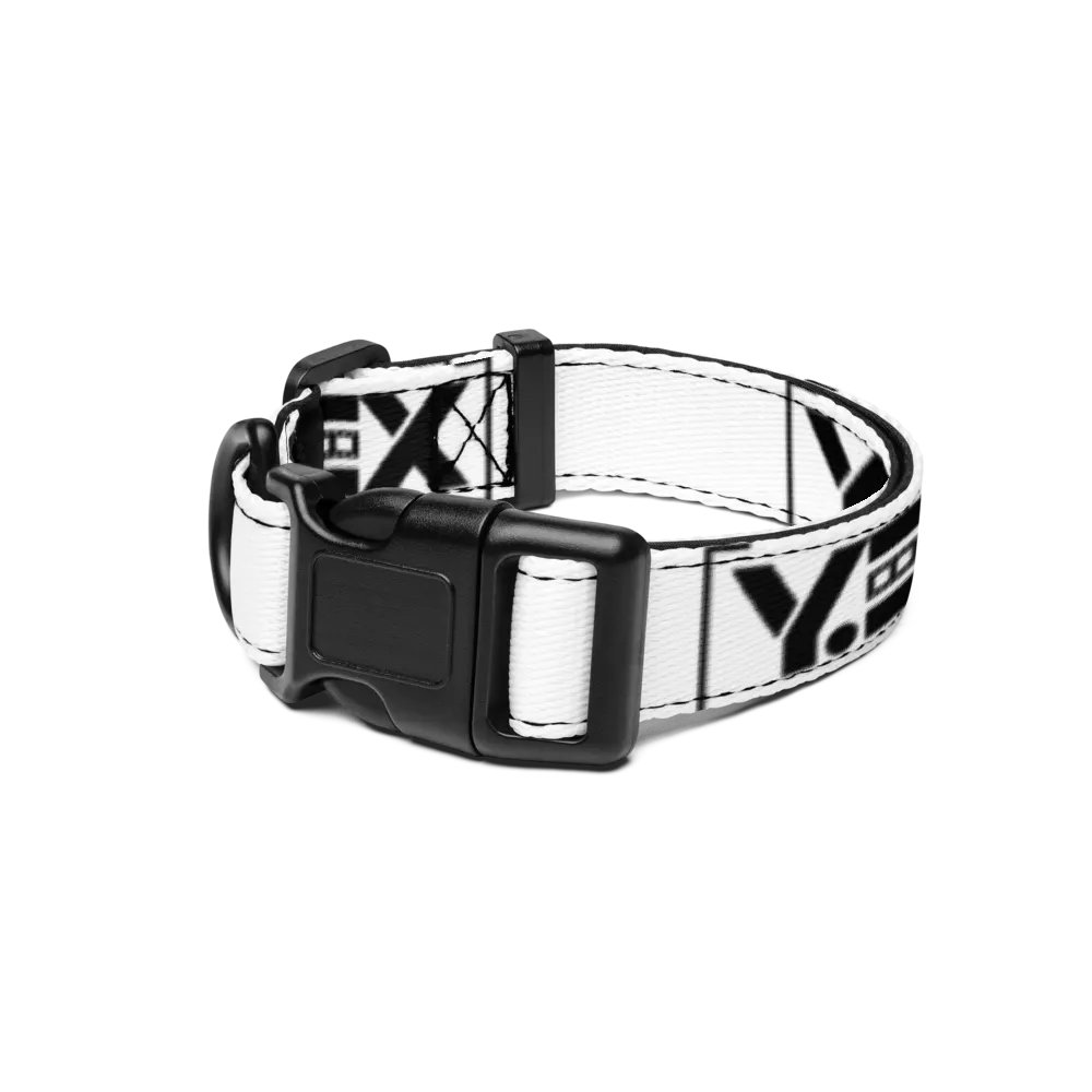 Y.EX 'pet' collar product image (1)