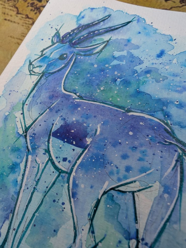 Gazelle in Aqua product image (2)