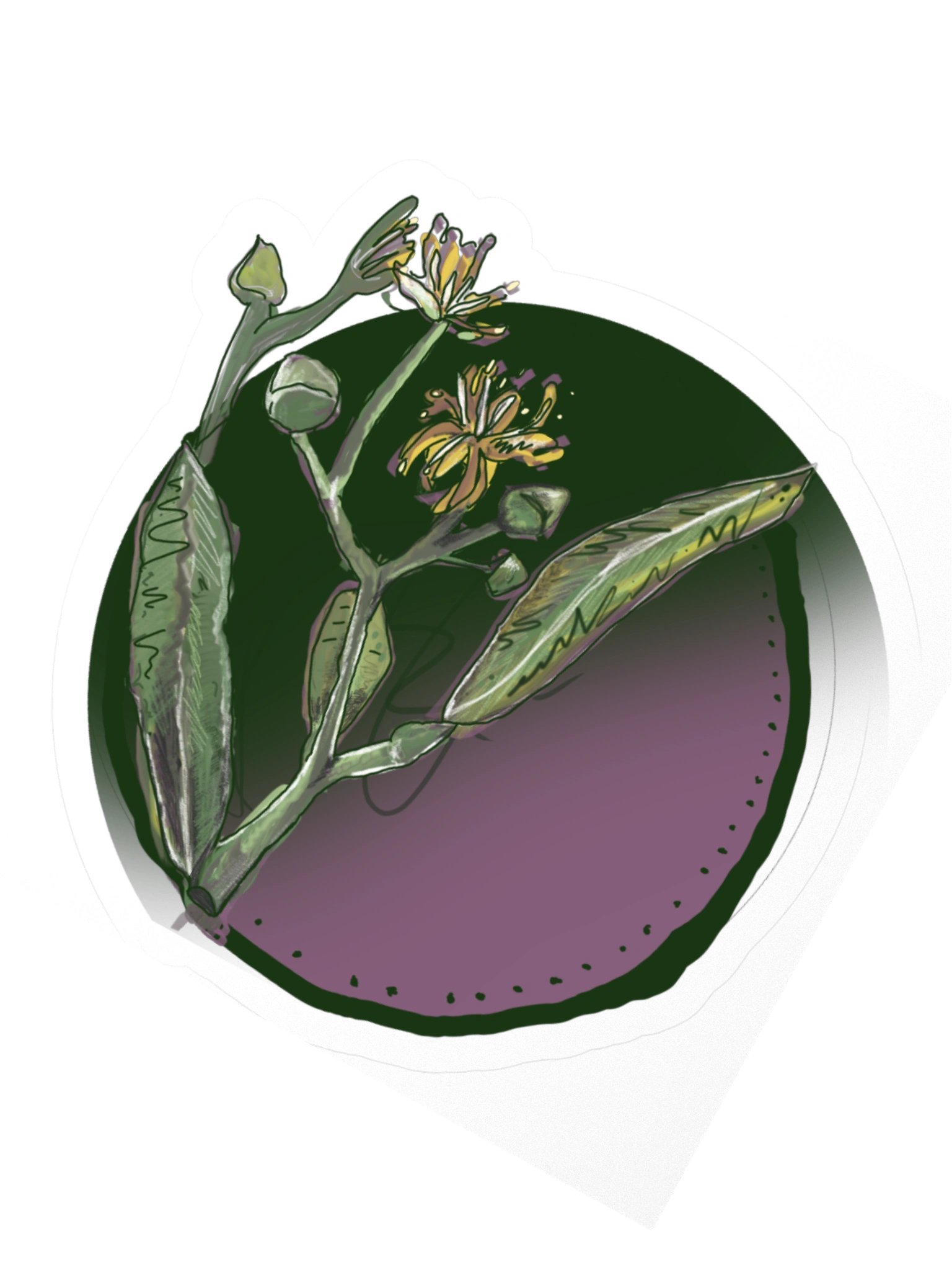 The Linden Blossom, Botanical Flower Sticker (3 inch vinyl) product image (2)