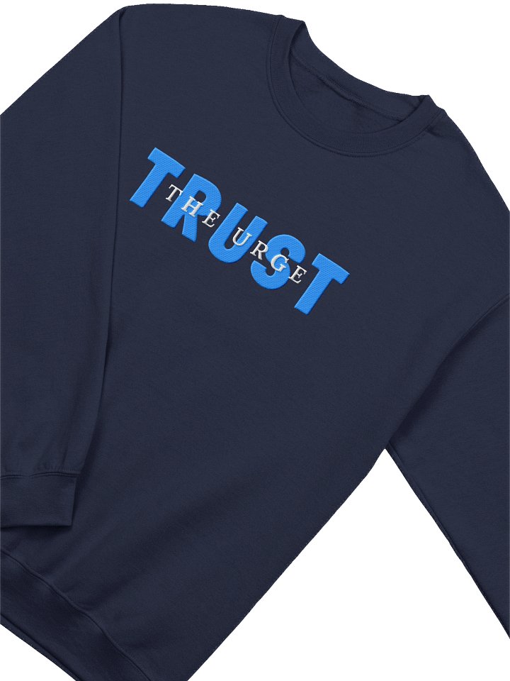 Trust the Urge Human Design Manifestor Sweatshirt product image (4)