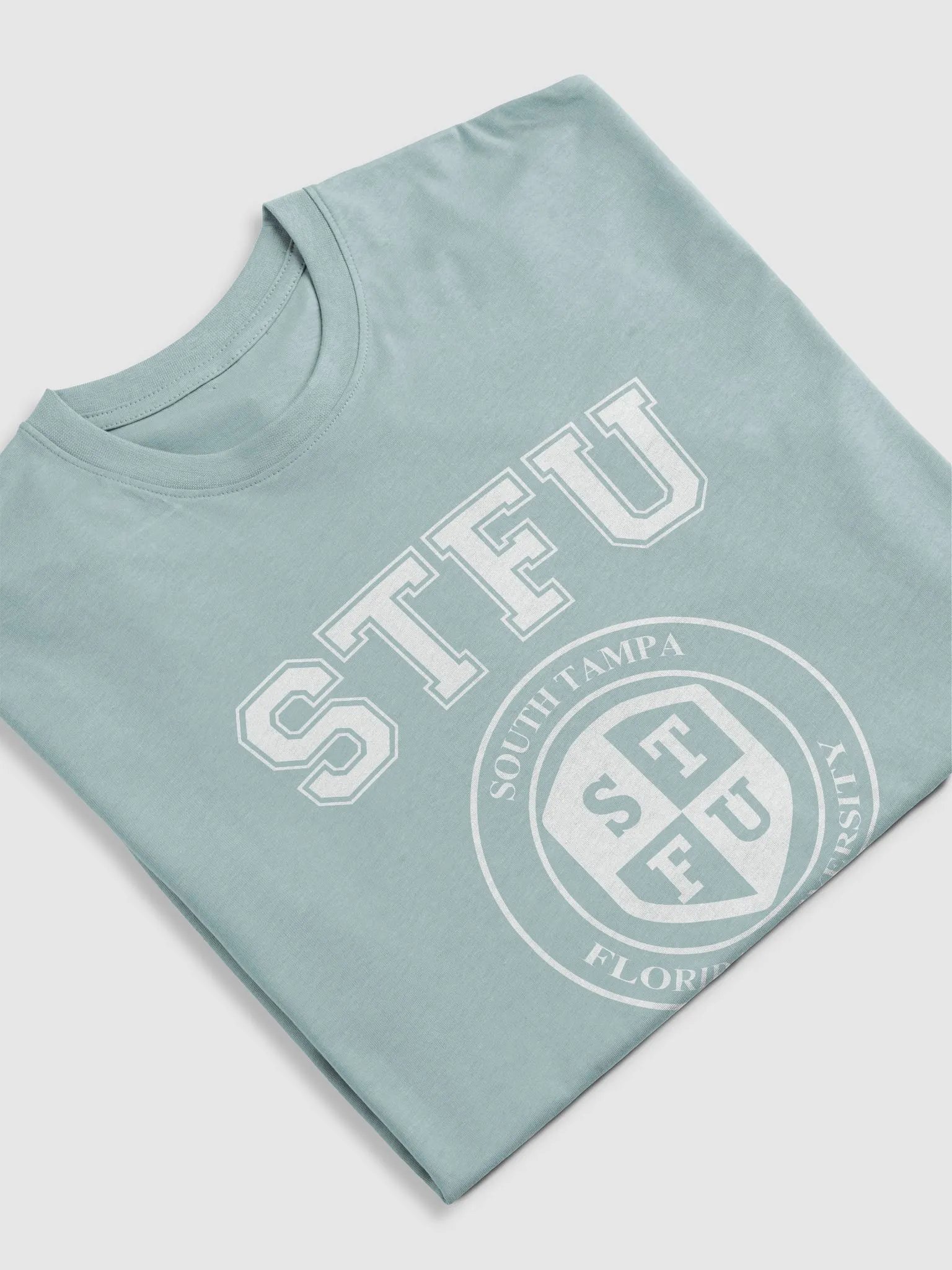 STFU Men's Premium Heavyweight Tee / Dark Colors product image (5)