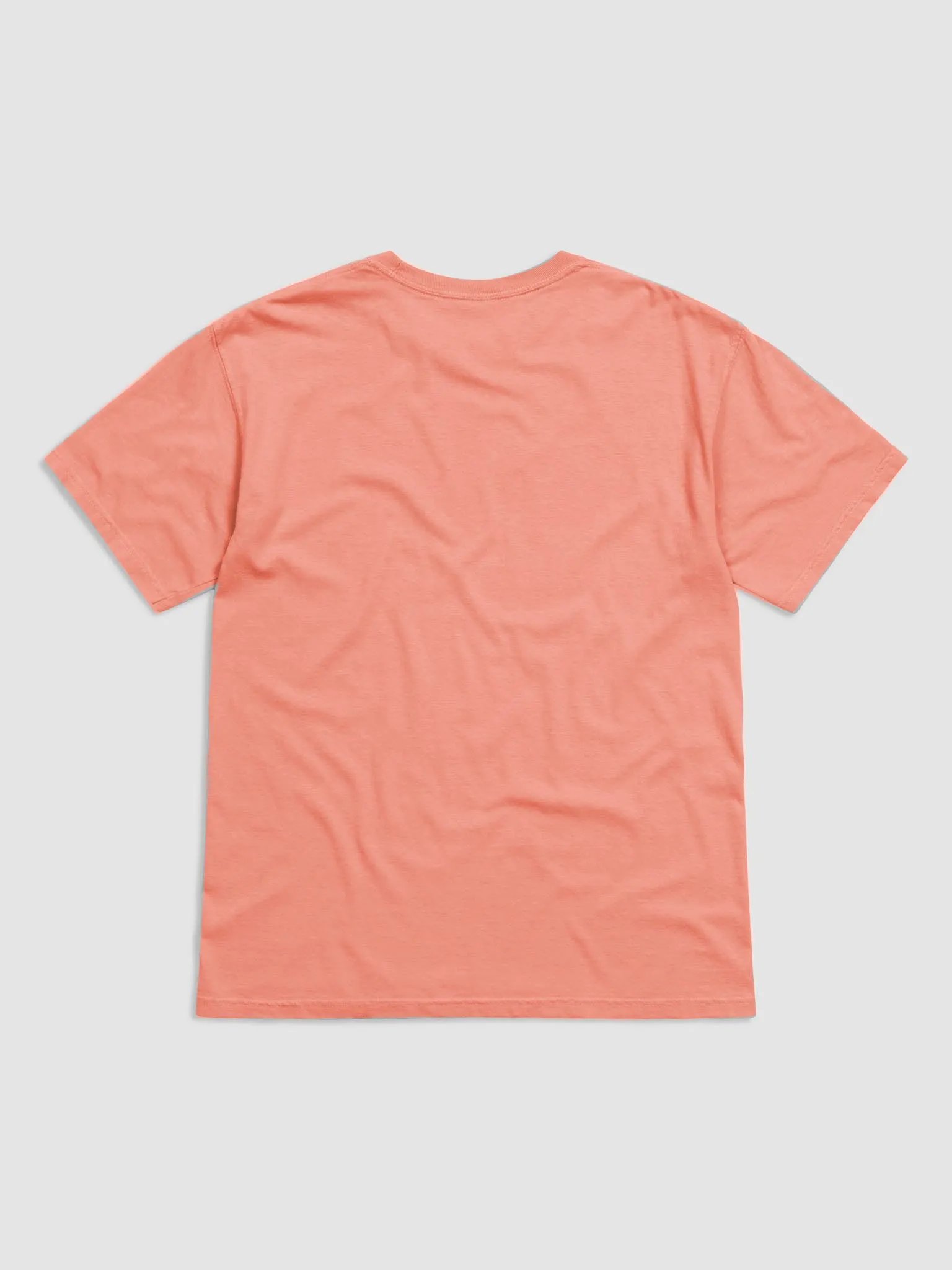 Get to the Point T-Shirt of a German Wirehaired Pointer | Funny T-Shirt for Pointer Dog Paw-rents product image (5)