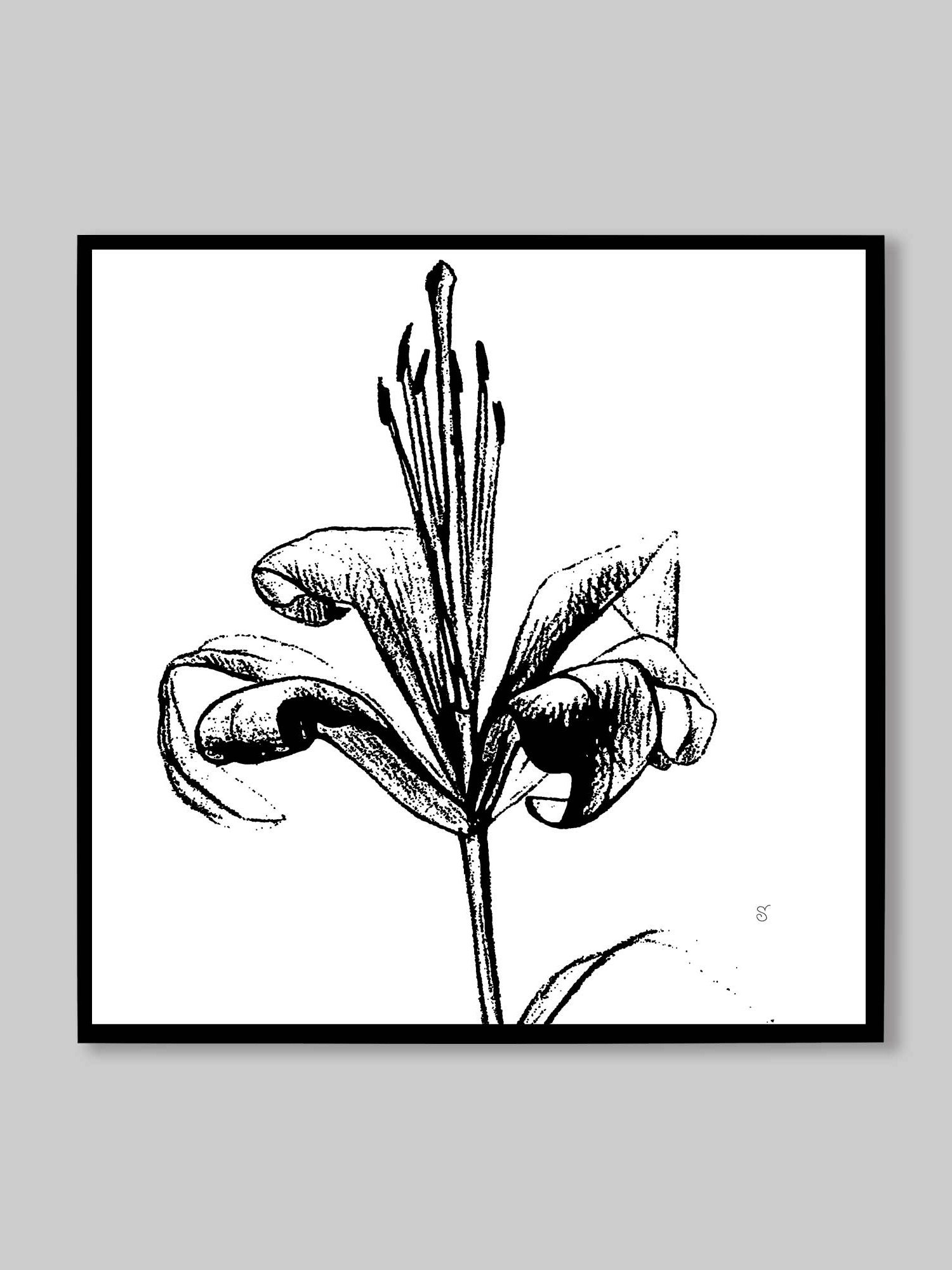 Lily Line Art Canvas Print - Fine Flower Light product image (42)