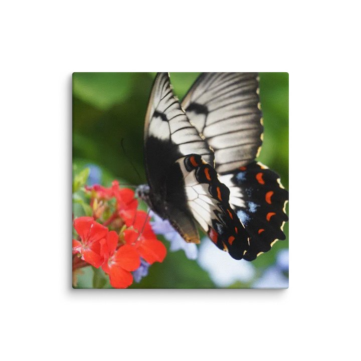 Butterfly on a Canvas product image (2)