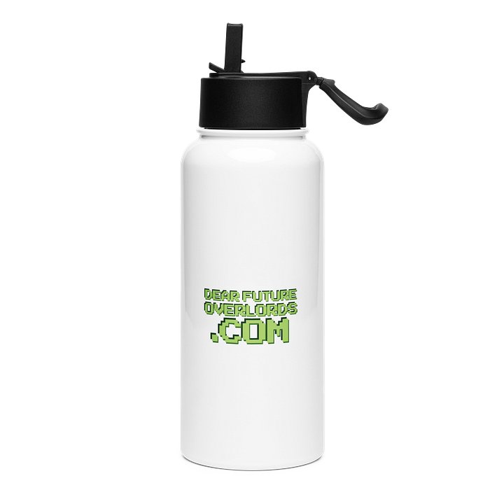 Dear Future Overlords Stainless Steel Water Bottle product image (2)