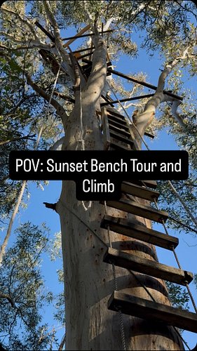 Full Updated Tour of the Sunset Bench. It’s pretty amazing to run through everything I’ve done it shows how far we’ve come. A...