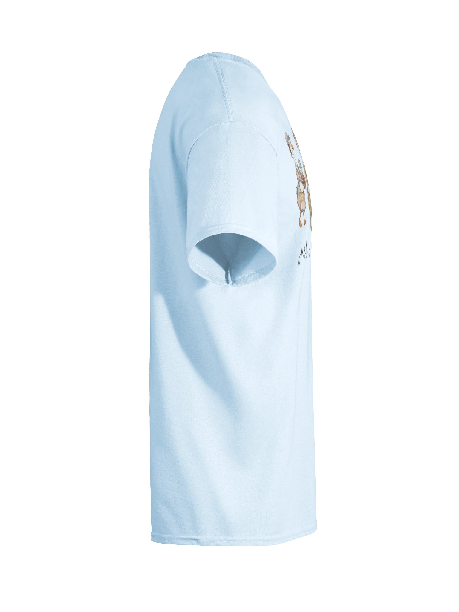 Just A Thrifty Goose Tee product image (10)