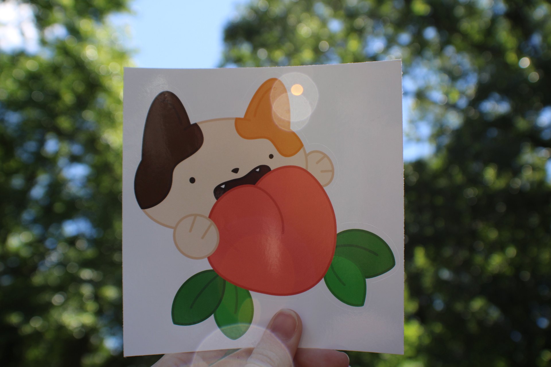 Calico Peaches Sticker product image (1)