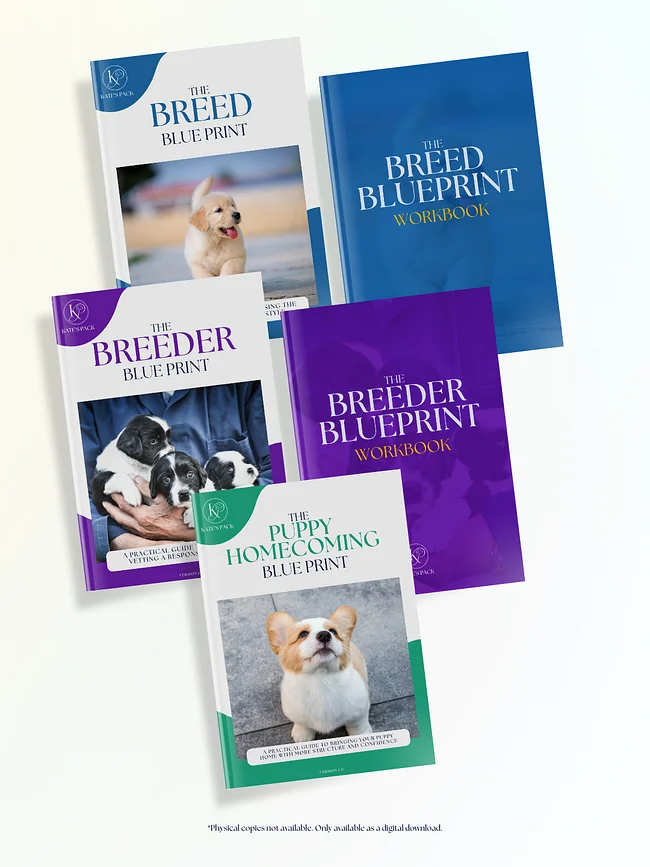 Blueprints (E-Books)
