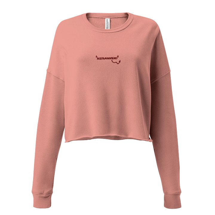 ACETAMINOFIEND handwritten embroidered cropped crewneck product image (2)
