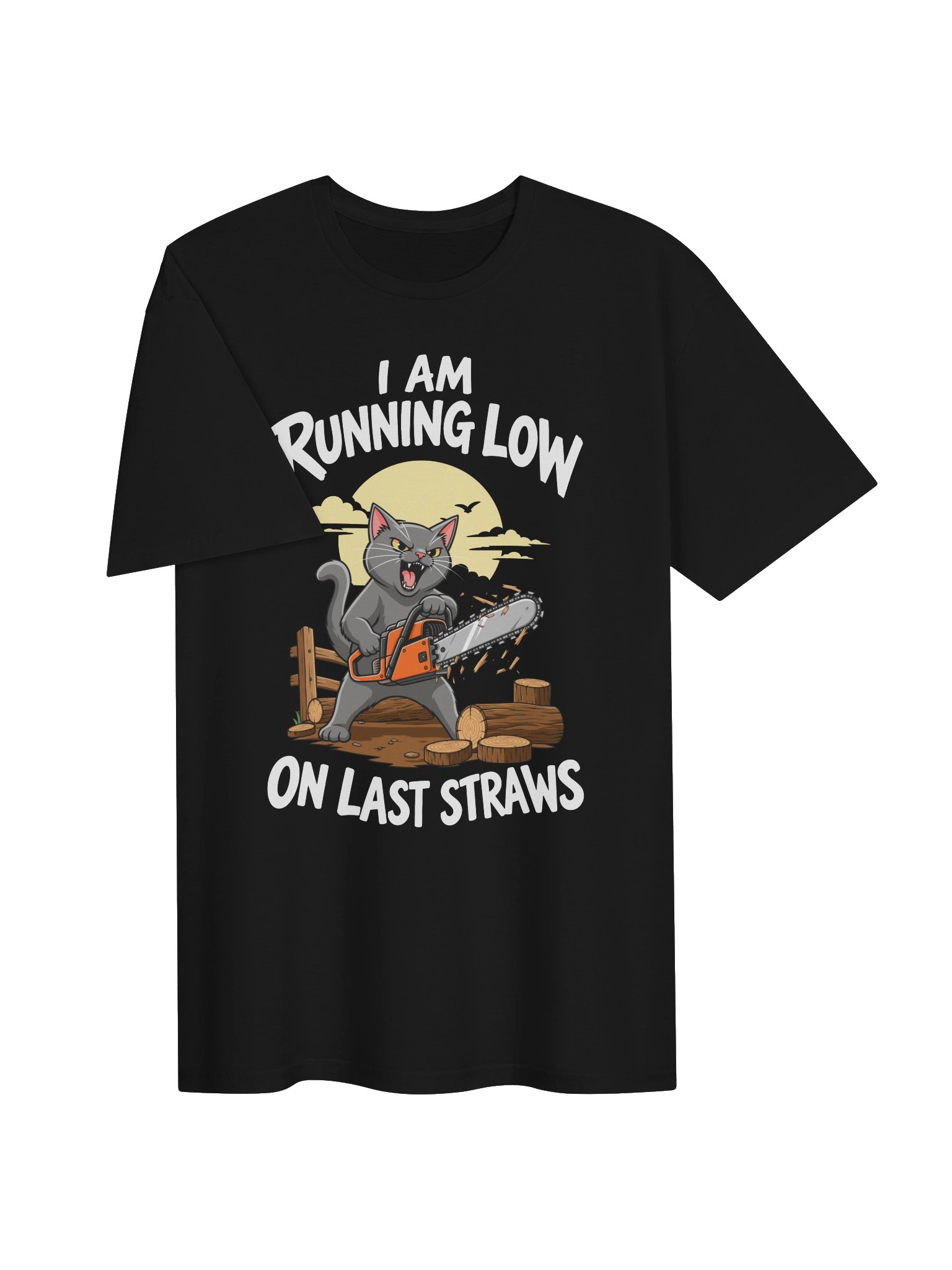 I Am Running Low On Last Straw Tee product image (44)