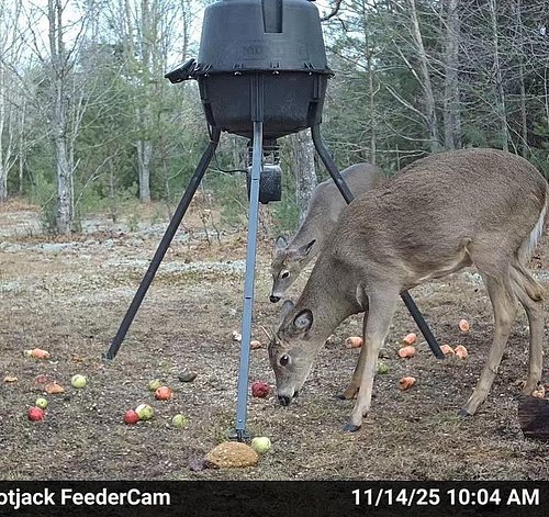 The U.P. Gun season is going to be fire with these twin 11 pointers day lighting already! 

#deerseason #puremichigan #huntin...
