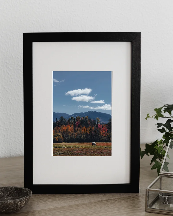 White Mountain Horse product image (2)