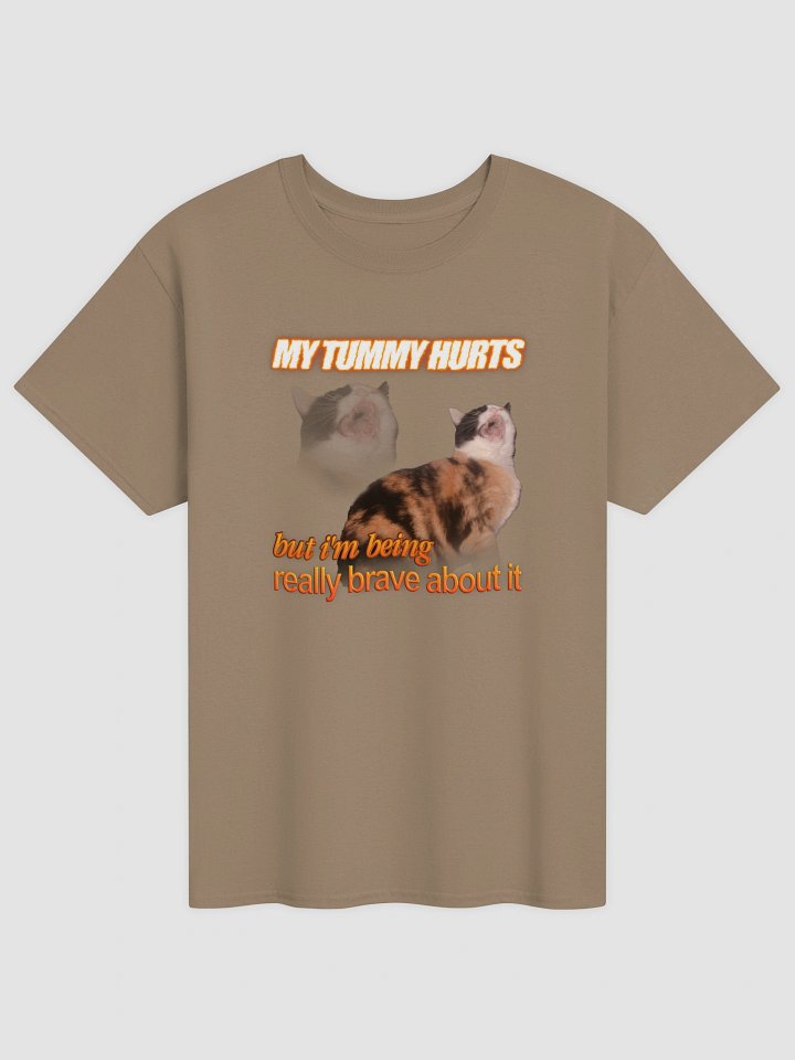 My Tummy Hurts and I'm Bring Really Brave - Cat T-shirt product image (2)