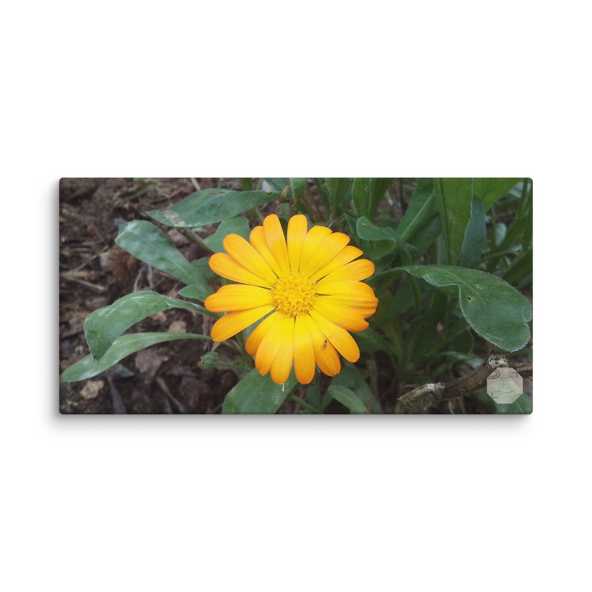 Happiness - Canvas Fine Art product image (1)